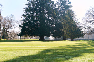 Major Lessons and Sunday Debates!