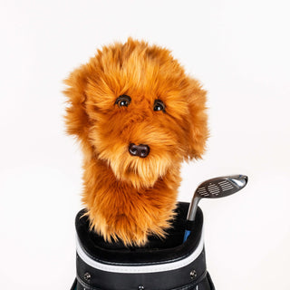 Doodle Dog Golf Headcover - Daphne's Headcovers